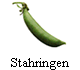 Stahringen
