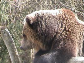 WuFpark0304 034