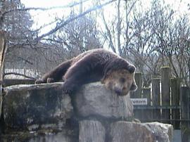 WuFpark0304 054