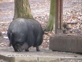 WuFpark0304 057