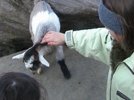 WuFpark0304 059