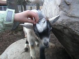 WuFpark0304 071