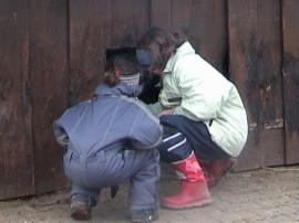 WuFpark0304 080