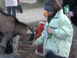 WuFpark0304 102