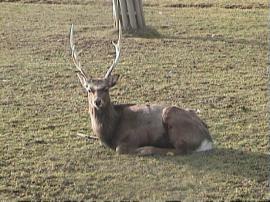 WuFpark0304 170
